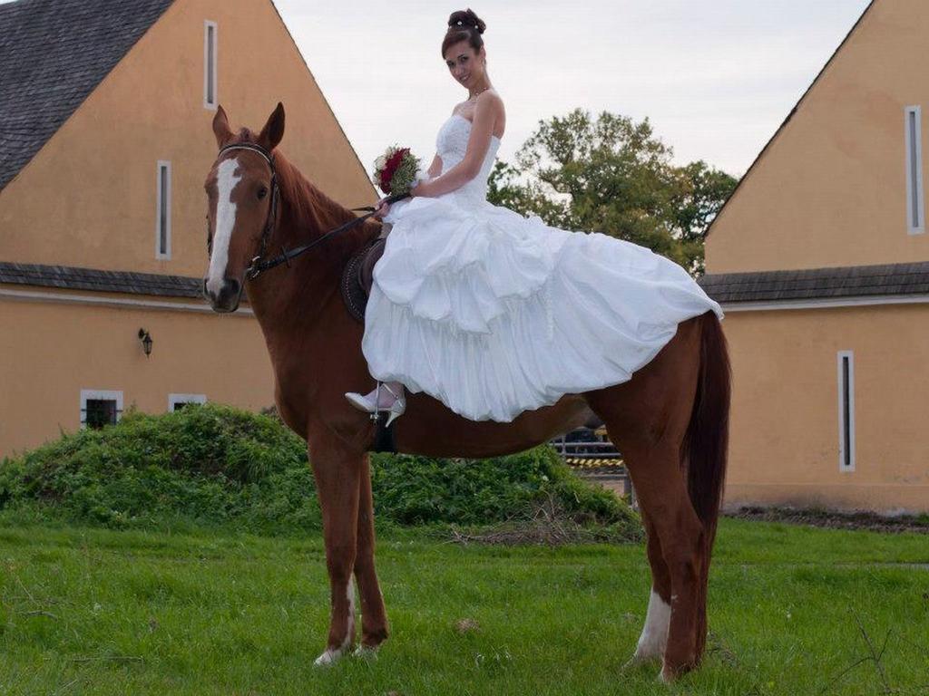 Dvur Olsiny -Hotel And Horse-Riding การ์วินา ภายนอก รูปภาพ