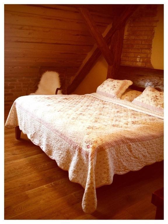 Dvur Olsiny -Hotel And Horse-Riding การ์วินา ห้อง รูปภาพ